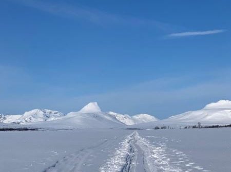 arctic tundra ski