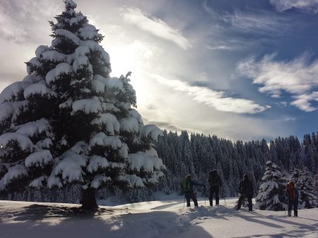 snow shoe rental routes